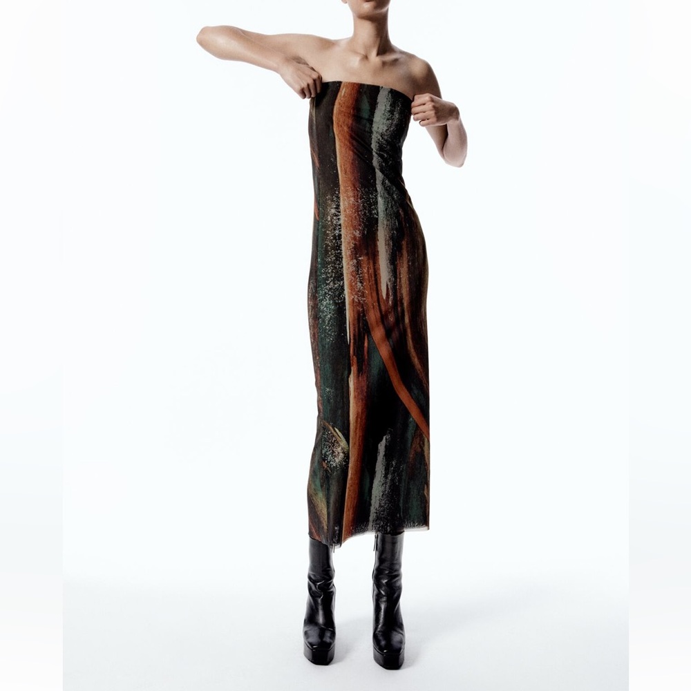 Zara Printed Tulle Dress